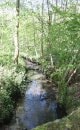 Bois des Bezelles
